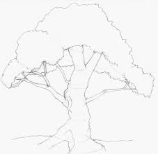 Instructions Stepbystep Stumped Drawing Super Trees Over Easy Draw Tree Step How To Astumped Over Super Easy Step By Tree Drawing Drawings Draw