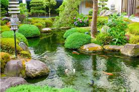 Der kleine gartenteich befand sich im. Das Mussen Sie Beim Teich In Ihrem Garten Beachten Heimhelden
