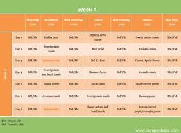 6 Month Old Feeding Schedule Free Printable Food Charts Paperblog Baby Food Schedule Baby Food Chart Food Charts