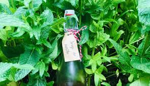 Cueillir La Menthe L Effeuiller Et La Laver Pas De Trempage Ou La Menthe Commence A Infuser Dans L E Sirop De Menthe Maison Recettes De Sirop Sirop De Menthe