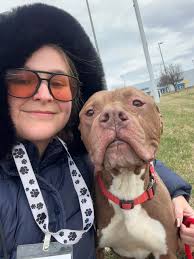 Y'all! I'm in love. I met this big handsome man while at my local animal  shelter. He's so gentle and sweet. But I already have 3 dogs. Those who  have 4+ dogs,