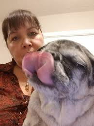 Saw this string bean. Lisa