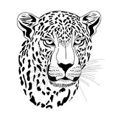 When you have a coloring page for children help them learn about leopard life in. Top 25 Free Printable Leopard Coloring Pages Online