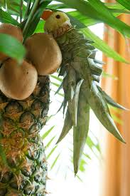Pineapple fruit tree with monkeys. Fun Jungle Theme Baby Shower Pretty My Party