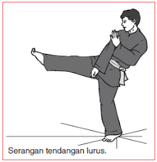 Bermula saat aku berkenalan dengan seorang cowok, sebut saja namanya muki. Serangan Pencak Silat Dengan Tangan Siku Dan Kaki Disertai Gambarnya Pukulan Sikuan Dan Tendangan