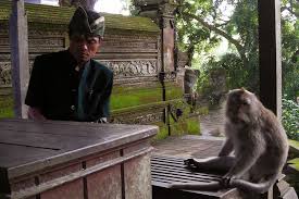 We did not find results for: Ubud Culture Tradition And Some Monkey Business Bye Myself