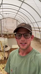 Brooder Box for 4 Week Old Chicks
