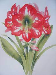 Christmas Amaryllis Reproduction Of Watercolor Painting Red Etsy Floral Watercolor Flower Painting Watercolor Flowers