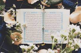 Hati hati yasin 41 kali untuk hajat super mujarab kisah nyata pengamal yasin 41 x tata niat. Bacaan Quran Surat Yasin Arab Latin Lengkap Terjemahannya