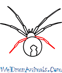600 x 478 png 26 кб. How To Draw A Black Widow Spider