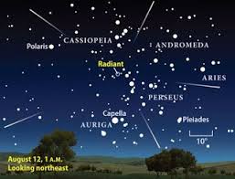 Here Come The Perseids Cielo Nocturno Astrologia Cielo
