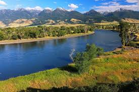 Image result for Passerina montana