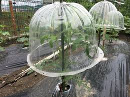 ライブドアブログ