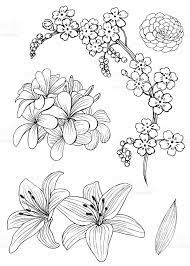 Pin Auf Floral