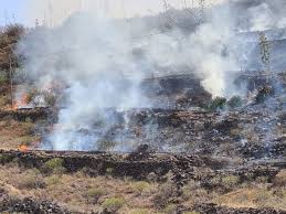 Maybe you would like to learn more about one of these? Se Produce Un Conato De Incendio En La Zona Recreativa De Los Campitos Tenerife