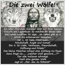 Die Zwei Wolfe Two Wolves Spruche Zitate Spruche Spirituelle Spruche