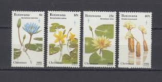 Image result for Ottelia kunenensis