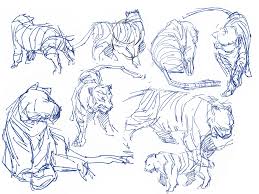 Animal Life Drawing The Art Of Janine Antolin Animal Life Drawing With Joe Weatherly Life Drawing Drawings Animal Sketches