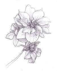 25 Beautiful Flower Drawing Information Ideas Brighter Craft Larkspur Flower Tattoos Larkspur Tattoo Birth Flower Tattoos