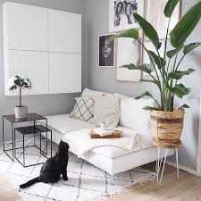 We did not find results for: Decoracion Con Plantas En Salas Pequenas 10 Plantas Perfectas Para Decorar La Sala De Tu Casa Decorar El Interior De Vuestra Casa Con Plantas Pequenas En Macetas De Madera Originales Len Guffey