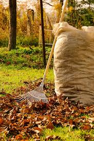 They are also great for adding to soil used in raised beds, containers a shredded wet pile can be ready in as little as 6 months to a year. Shredded Leaves Are Garden Gold Longfield Gardens