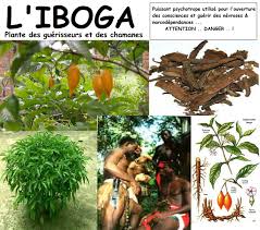 La phoniatre elizabeth fresnel a ouvert à l'équipe d' à pleine voix les portes de son laboratoire de la voix à paris. Iboga Guerir Son Ame Marie Line Dupuy Naturo Energeticienne