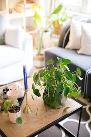 Pratik ev temizliği yapabilmek i̇çin öneriler. Evde Enerji Temizligi Nasil Yapilir Vivense Blog