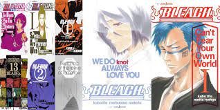 BLEACH: How The Novels Connect to the Story