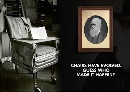 Simply Sofas Chair Fun Facts Theory Of Evolution