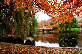 You Have Found A Forbidden Place Mozendi Boston In The Fall Fall Foliage Tour Boston Public Garden