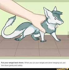 Put Your Sergal Back Down When You Or Your Sergal Are Done Hanging Out Put Him Down Gently And Safely Ifunny Furry Meme Funny Art Anthro Furry