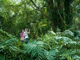 Nikmati keindahan alam semula jadi yang asli. 10 Lokasi Eco Tourism Yang Menarik