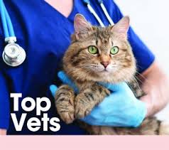 Top Vets : Orlando Family Magazine
