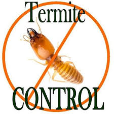 When it comes to pest control, the mouse is one of the most common pests and is found worldwide. Does Pest Control Kill Termites Responsible Pest Control