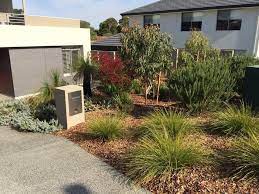 In a recent budget front garden makeover, for example, charlie albone dug up part of the lawn to create an undulating garden bed filled with low and medium evergreen shrubs. Native Australian Plants Native Garden Perth Wa Landscape Design Modernlan Aus Garden Landscape Design Front Garden Design Australian Native Plants