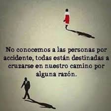 Las Casualidades No Existen Por Algo Llego A Tu Vida Siempre Para Bien Frases Bonitas Frases De Palabras Citas Sobre Vivir