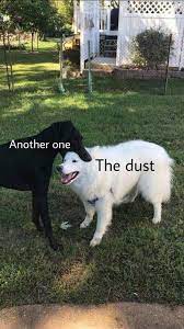 Tier 3 Meme Another One Bites The Dust Know Your Meme