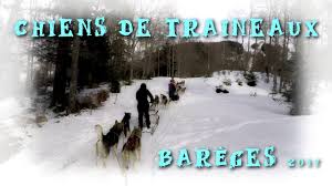 Responsable du chenil, guide et logisticien sur notre base norwide finlande pendant quatre ans, ludovic vivares vous explique. Chiens De Traineaux Bareges Mushing Pyrenees 2017 Youtube