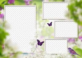 Maybe you would like to learn more about one of these? My Family Photo Frame Collage 4 Photos Transparent Png Frame Psd Layered Photo Frame Template Download