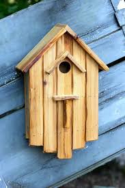 Make An Easy Coffee Can Bird House Bird House Bird House Kits Bird House Plans