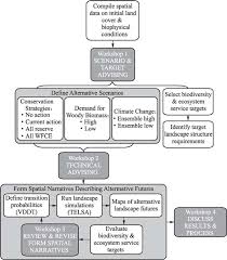 5 Flow Chart Of The Scenario Building Process Infused With