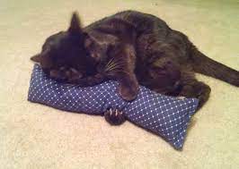 Refillable 15 Catnip Cat Kicker Toys Kitty Kick Sticks Cat Kick Stix Blue 1 Desire To Know A Lot More Click On The Image Diy Cat Toys Catnip Cat Toys