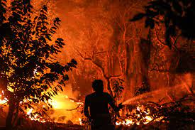 O incêndio de #monchique neste momento está a ser combatido pelos seguintes meios: Incendio De 2018 Em Monchique Destruiu 27 Mil Hectares De Floresta Sic Noticias