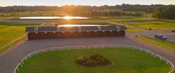 Cherokee casino will rogers downs concluded its 2020 thoroughbred meet with a significantly increased handle and new racing fans from. Will Rogers Downs