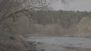 نتیجه جستجوی لغت [slog] در گوگل