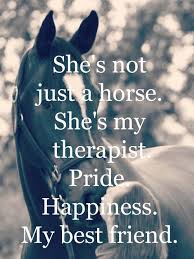 Pin By Shelbie Humphreys Thomas On Horses My First Love Inspirational Horse Quotes Horse Riding Quotes Horse Quotes