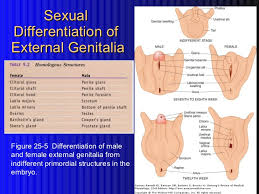 2 intersex people in society. Intersex People