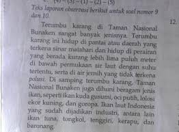 Berdasarkan Struktur Teks Laporan Hasil Observasi Paragraf Tersebut Terdapat Bagian Brainly Co Id