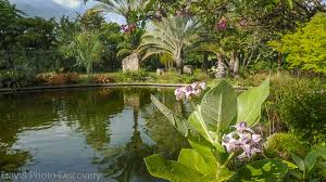 Please note saturday + sunday tours are by request only. Visiting Miami Miami Beach Botanical Garden