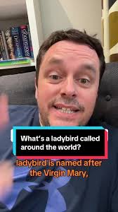 What is a Ladybird Called Around the World?